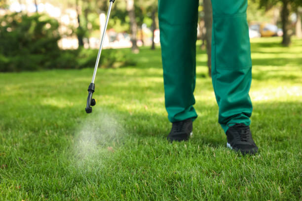 Flea Control Services in Port Labelle, FL