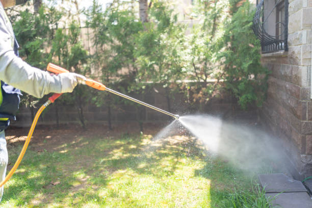 Bird Control in Port Labelle, FL
