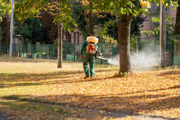 Trusted Port Labelle, FL Pest Control Experts