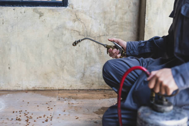 Best Mosquito Control Services  in Port Labelle, FL